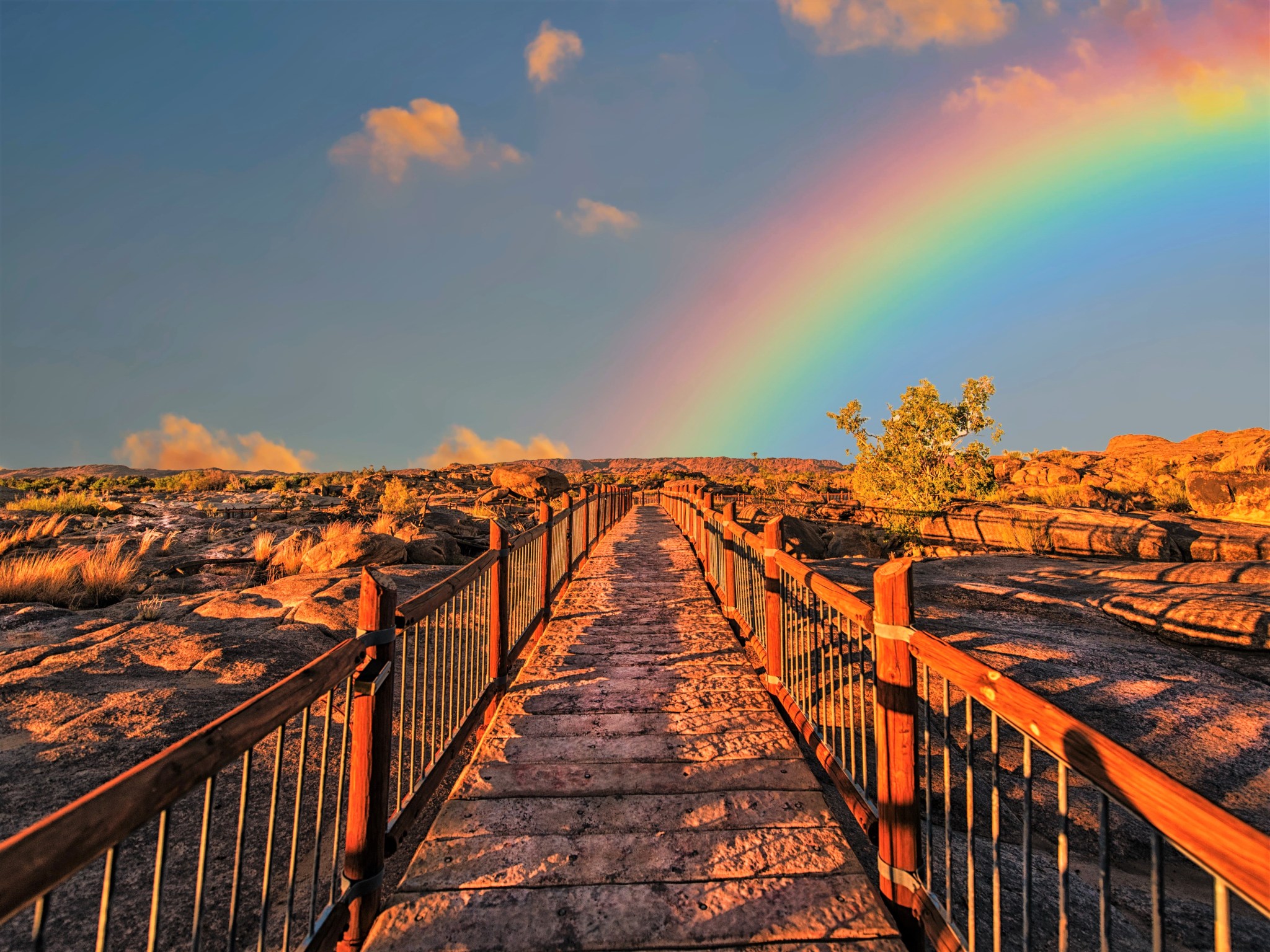 Dark barren path with a colourful rainbow rising from the horizon.