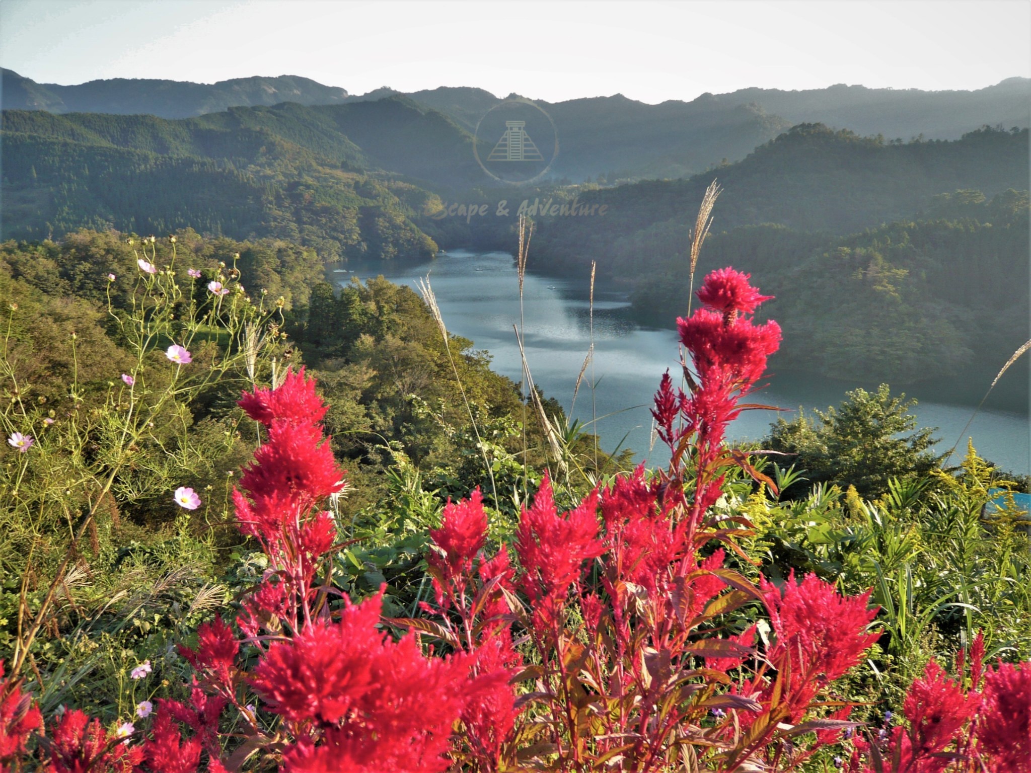 Scenic lake surrounded by verdant green mountains with bright red flowers in the foreground.