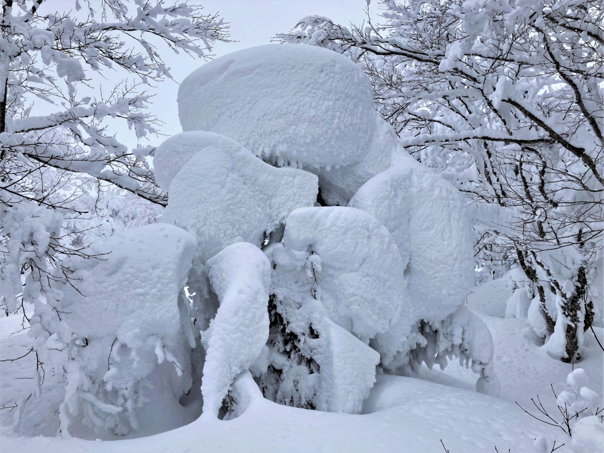 A crab-shaped snow monster standing between icy trees on Mount Zao in Yamagata, Japan.