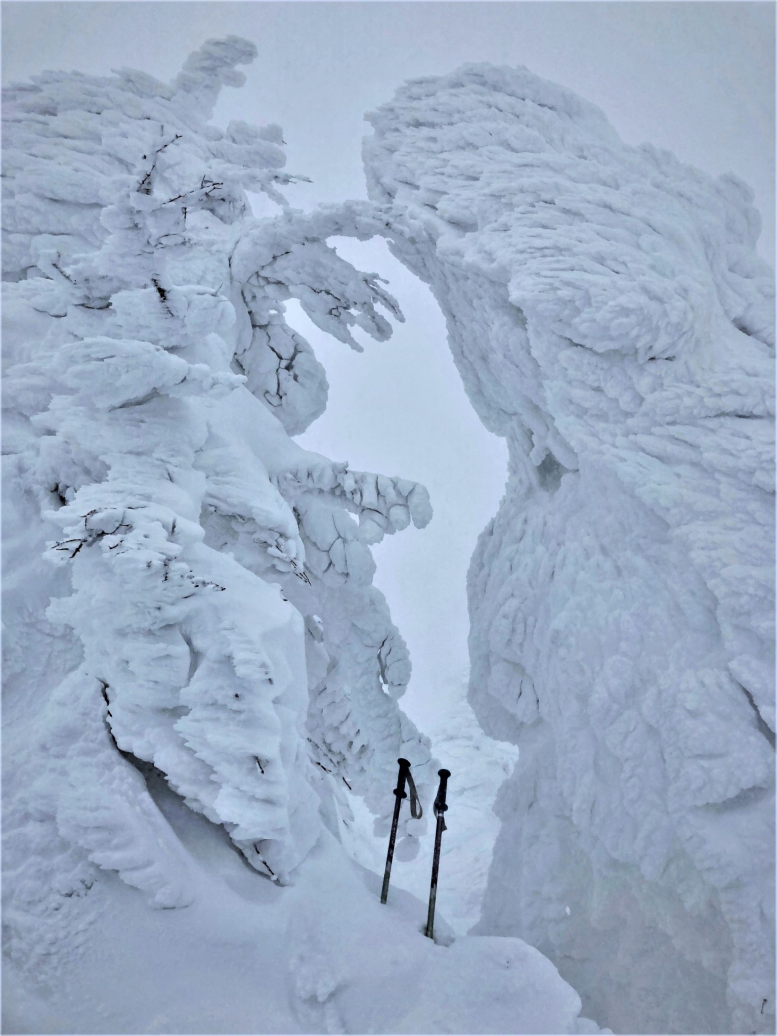Two massive snow monsters fighting over a pair of ski poles during a blizzard on Mount Zao in Yamagata, Japan.