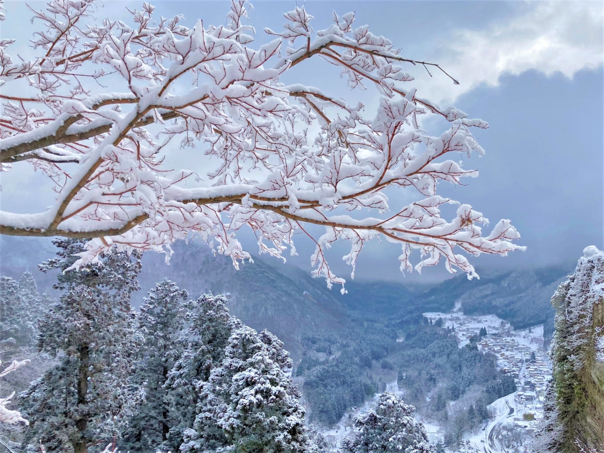 A winter mountain-top view of the Japanese town of Yamadera featuring beautiful snow-covered horizontal tree branches. 
