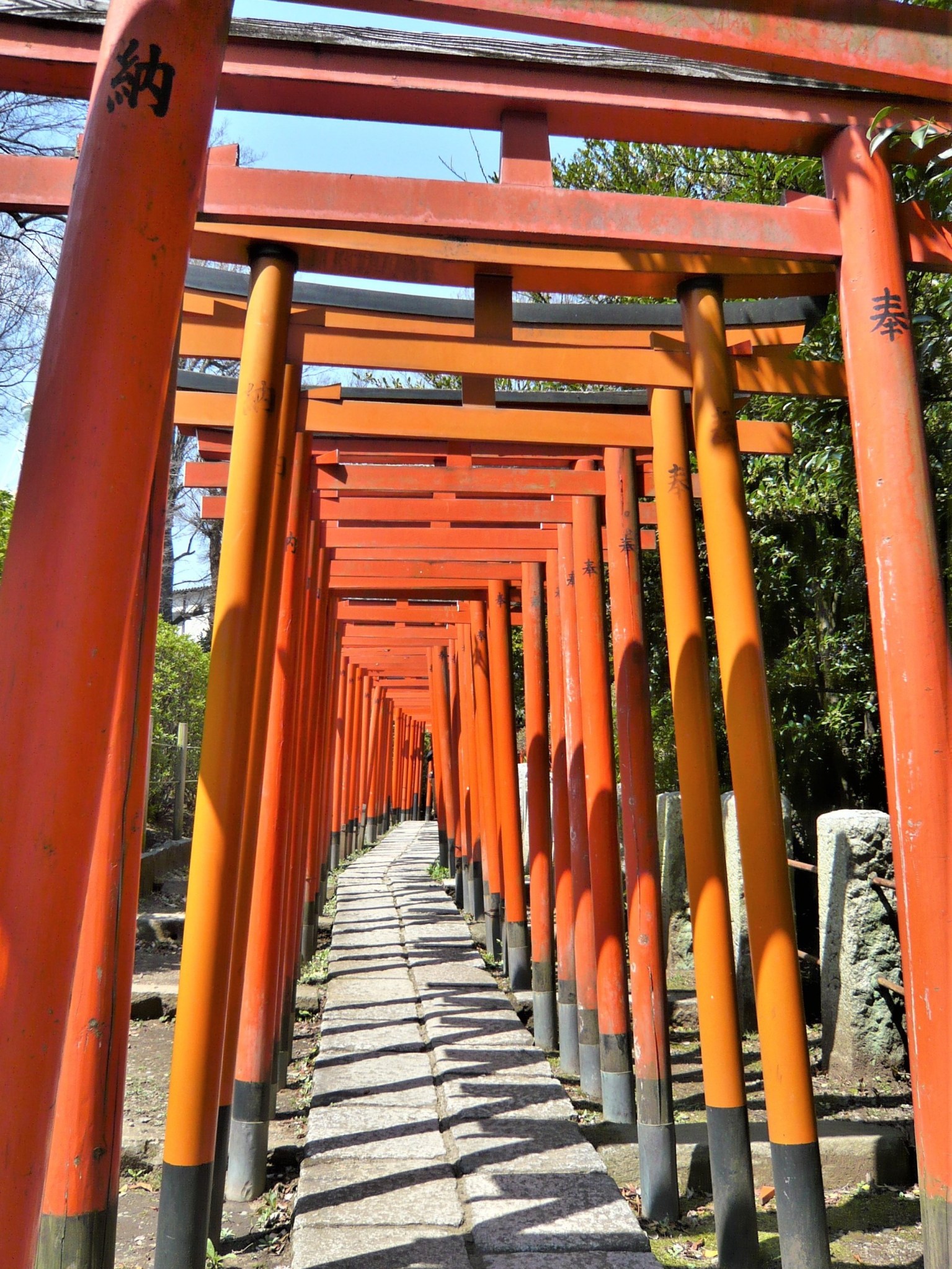 A path leading through a series of red gates at a shrine in Tokyo, Japan.