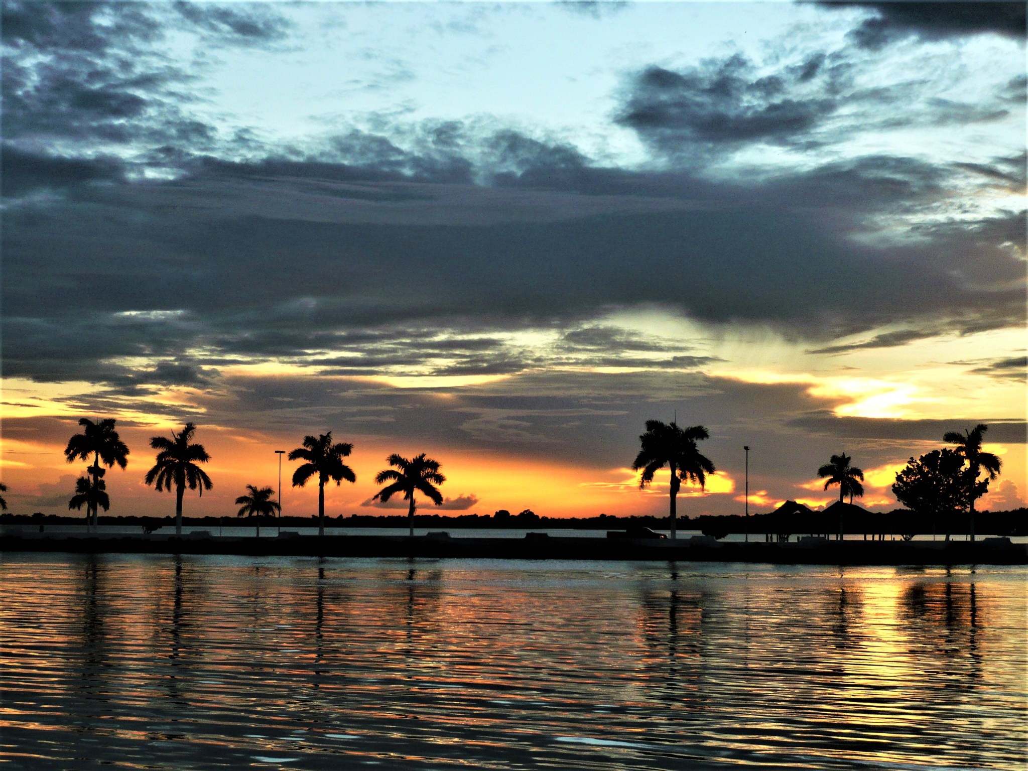 Several silhouetted palm trees highlighted by a dramatic orange sunset at the bay of Chetumal, Mexico.