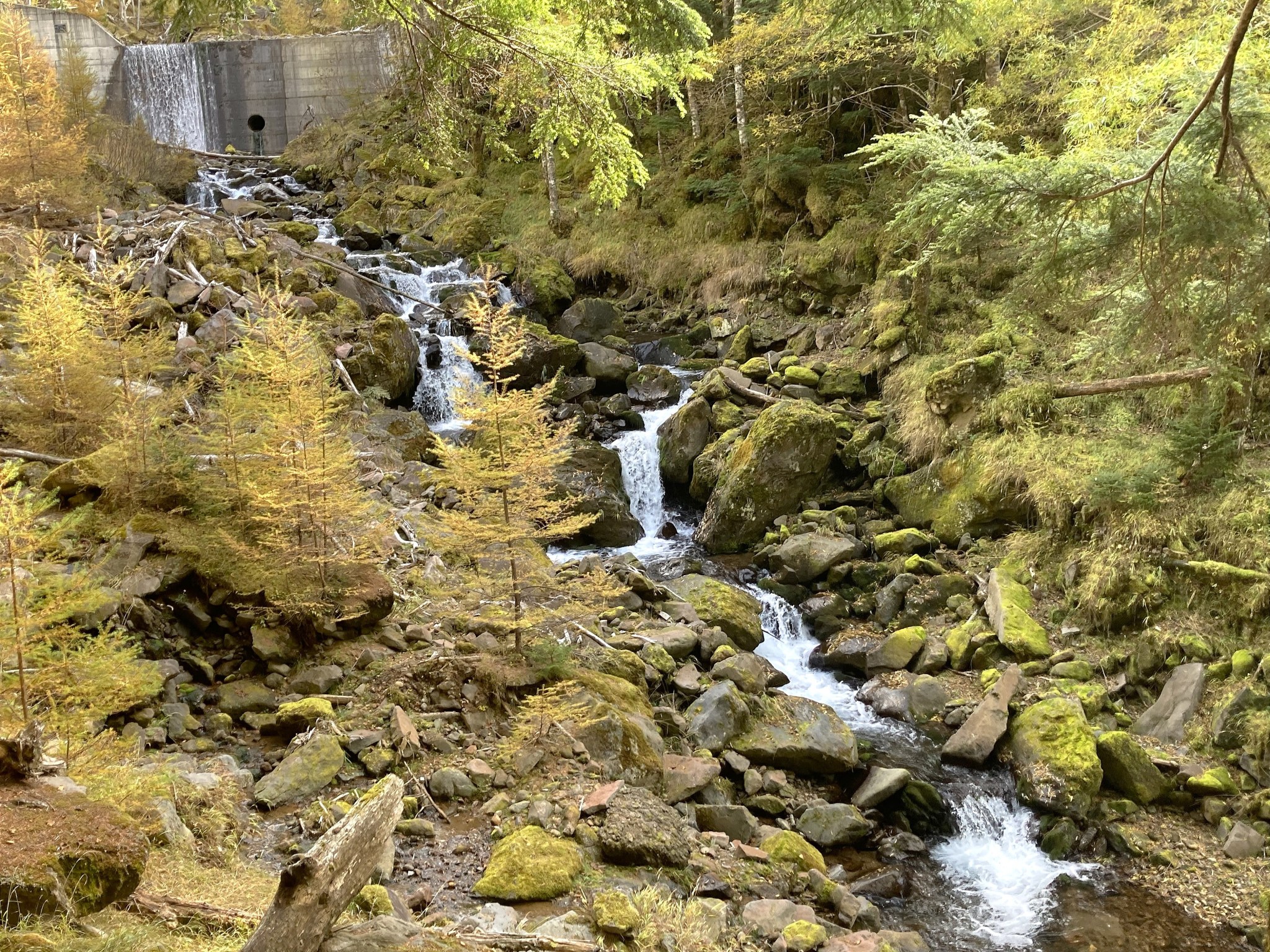 A small multi-tiered waterfall running downhill through verdant mountain greenery.