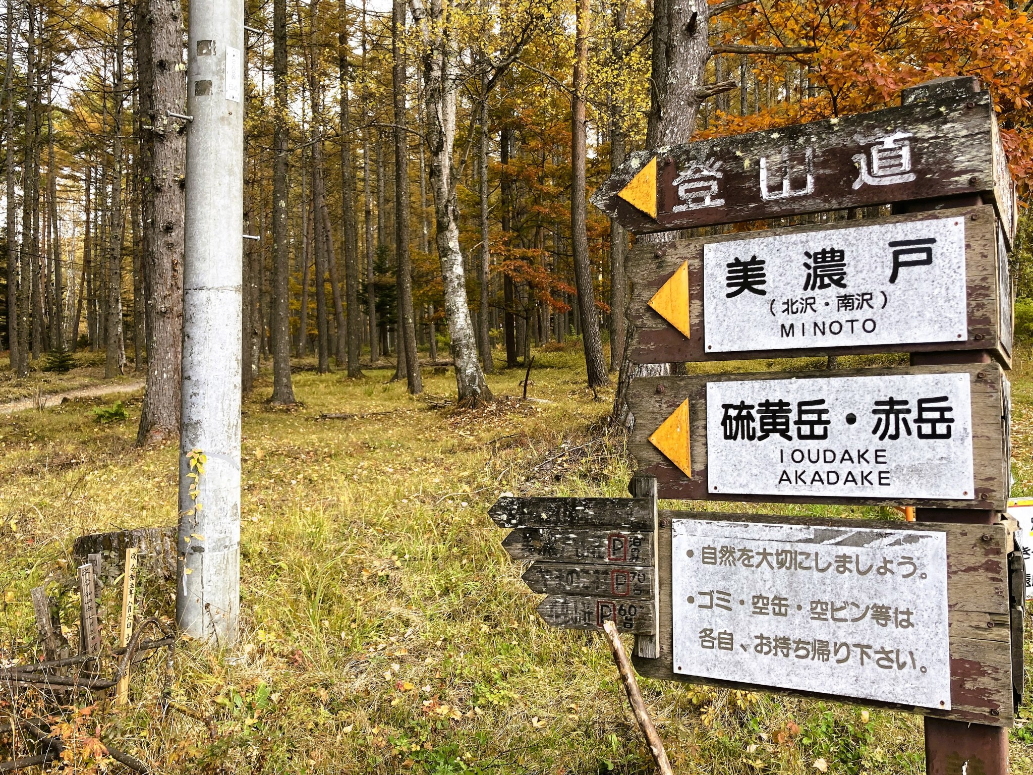 A worn wooden signpost pointing to a path leading into an autumnal forest with yellow and orange trees.