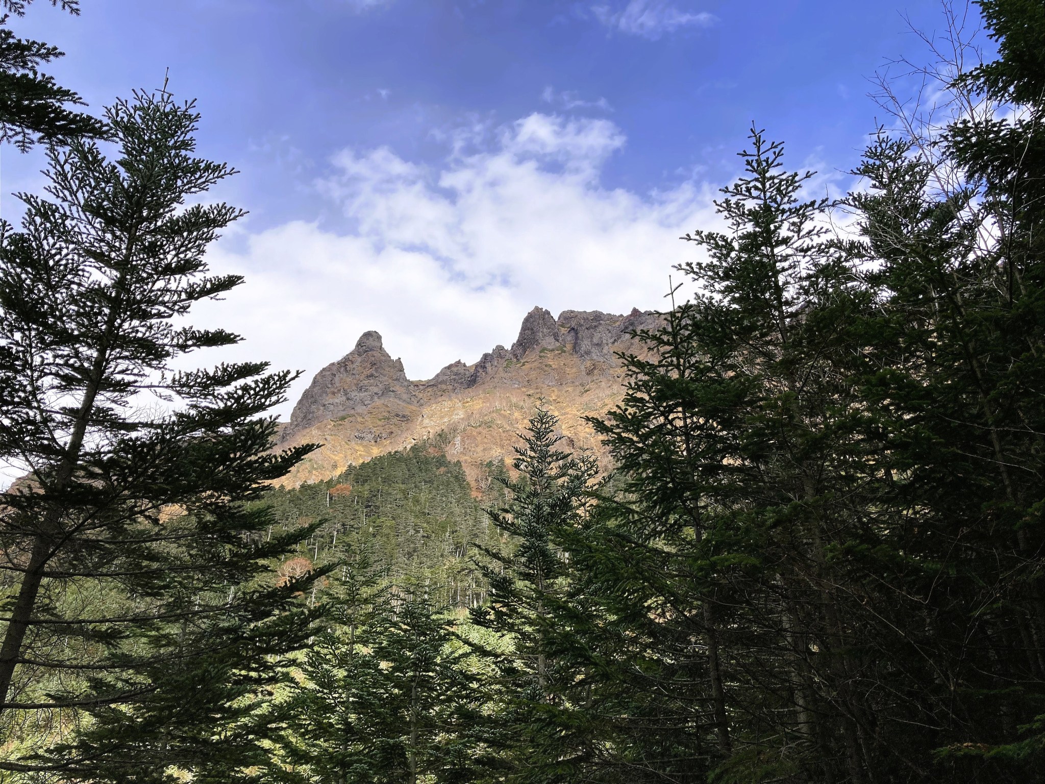 The tan and grey ridgeline of the Yatsugatake mountain range rising out of a forest flanked by tall green trees and into a cool blue and partially cloudy sky.