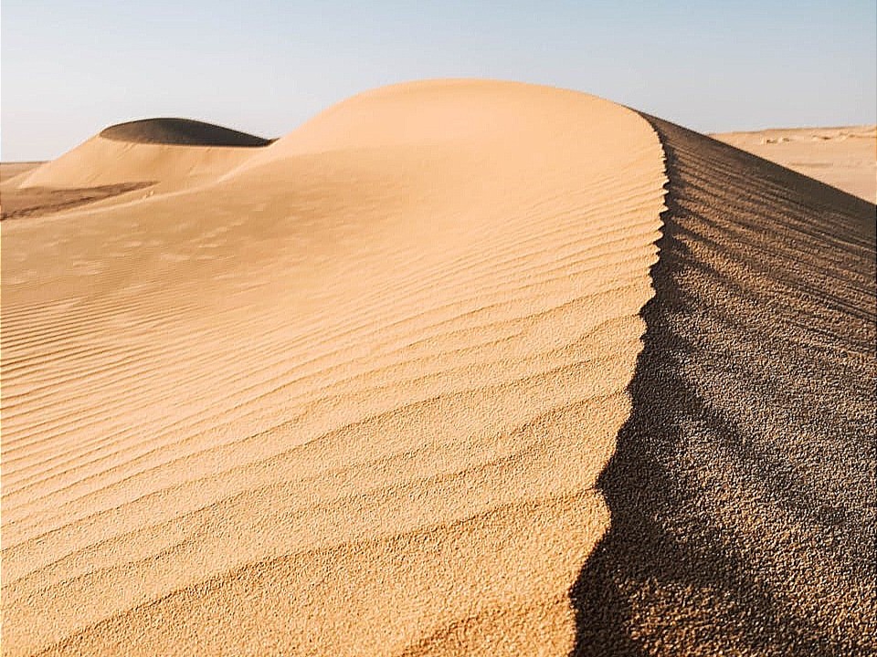 The crest of a beige desert sand dune leading towards the horizon.